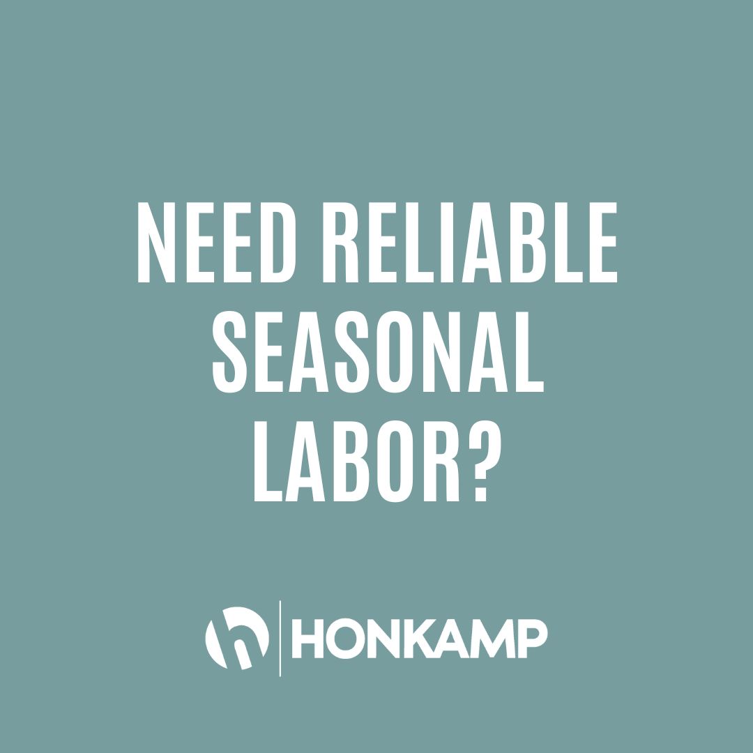 White text on a green background reads 